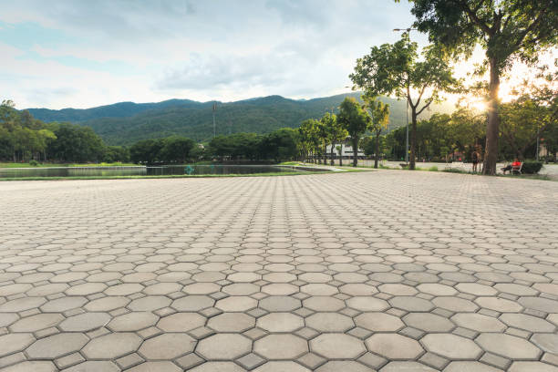 Best Driveway Paver Sealing  in Duenweg, MO
